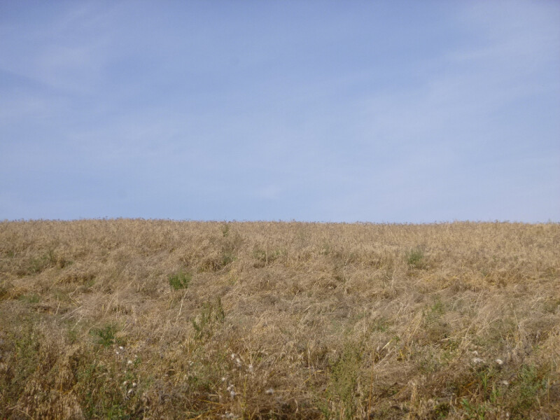 Zemědělský pozemek v k.ú. Otnice, okr. Vyškov