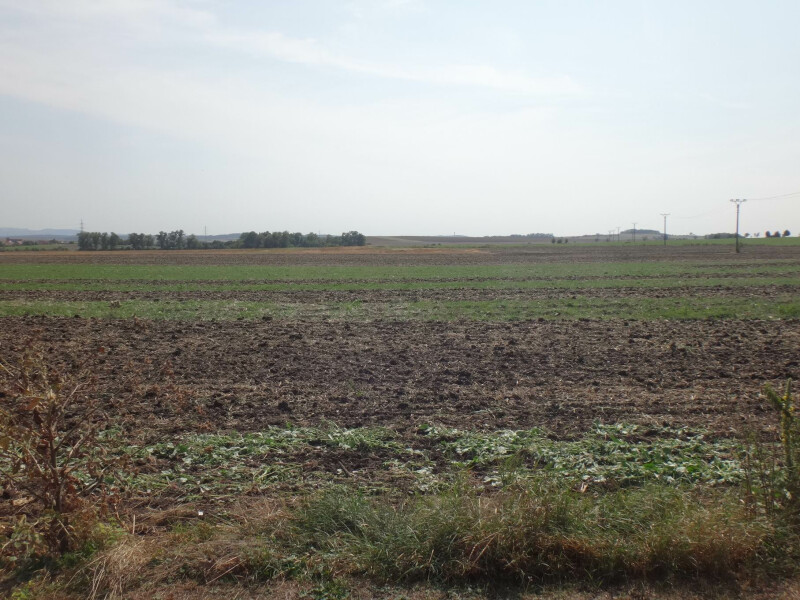 Podíl na pozemku v k.ú. Tučín, okr. Přerov