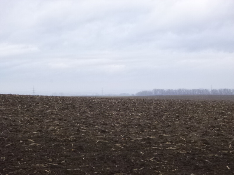 Podíl na zemědělských pozemcích v k.ú. Dětkovice, okr. Vyškov