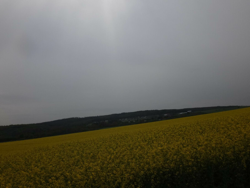 Podíl 1/4 na pozemcích v k.ú. Ludéřov, okr Olomouc