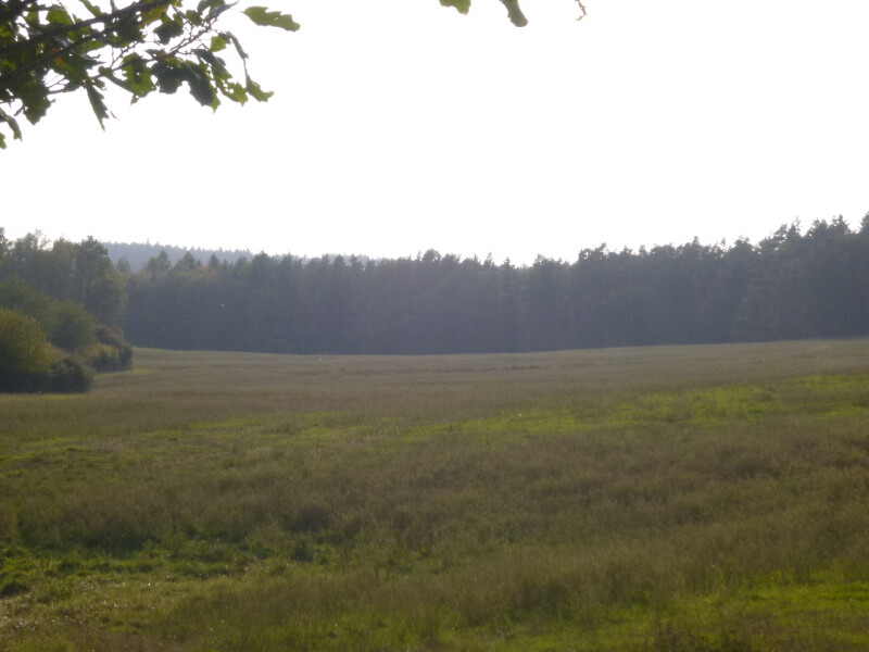 Podíl na pozemcích v k.ú. Obory a Nečín, okr. Příbram