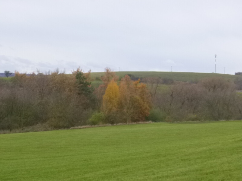 Podíl 1/2 na pozemcích v k.ú. Telce, okr. Louny