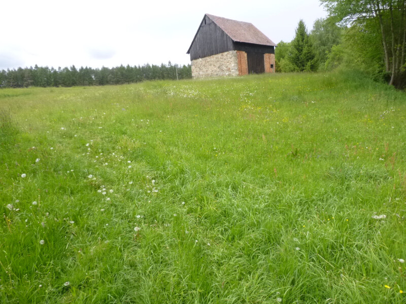 Podíl 2/9 na pozemku se zastavěnou plochou v k.ú. Václavice u Hrádku nad Nisou, okr. Liberec