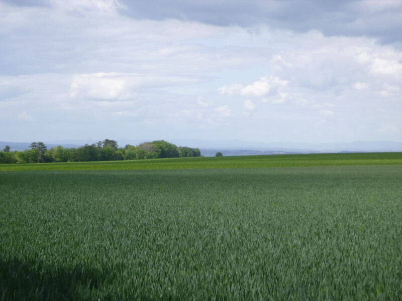 Podíl na zemědělských pozemcích v k.ú. Stradonice u Pátku, okr. Louny a k.ú. Levousy, okr. Litoměřice