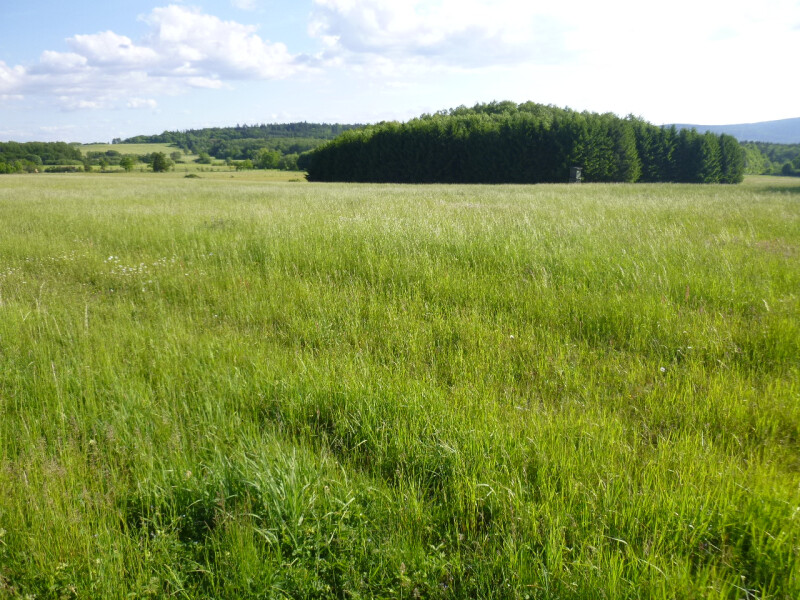 Podíl 1/2 na pozemcích v k.ú. Přešín, okr. Plzeň - jih