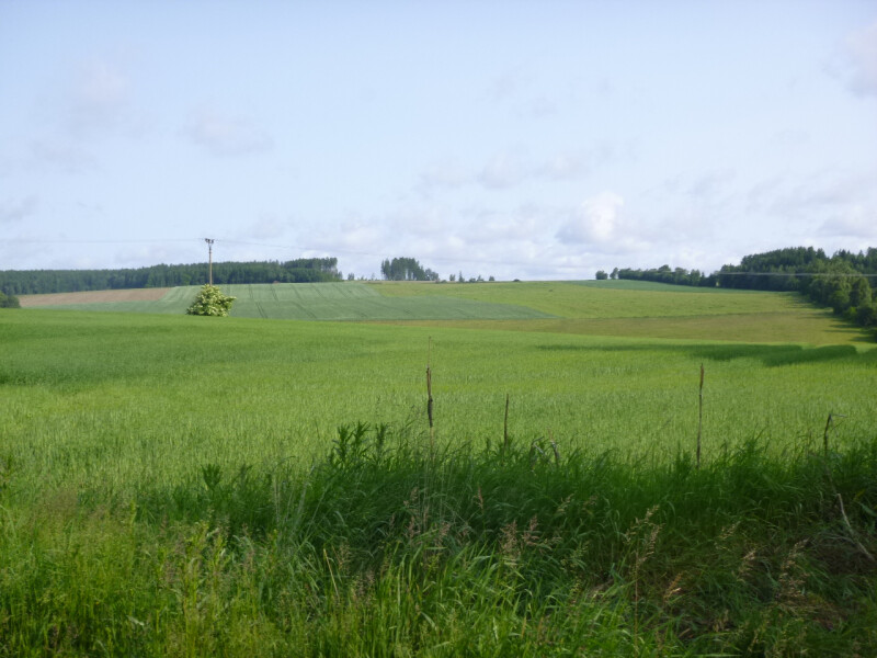 Podíly na pozemcích v k.ú. Lidmaň, okr. Pelhřimov