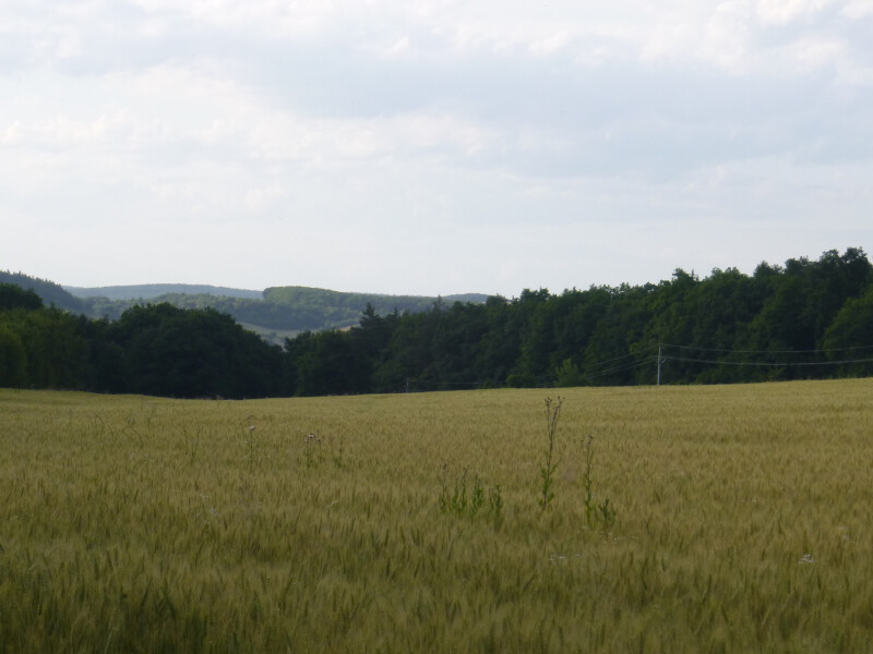 Podíl 1/6 na pozemcích v k.ú. Prakšice, okres Uherské Hradiště