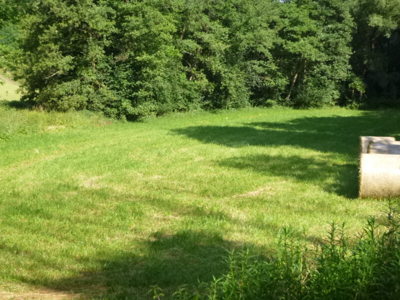 Podíl na pozemcích v k.ú. Tetčiněves, okr. Litoměřice