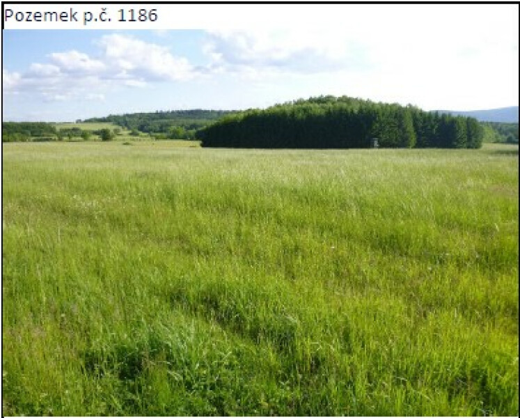 Podíl 1/2 na pozemcích v k.ú. Přešín, okres Plzeň - jih