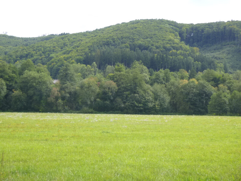 Podíl 1/14 na pozemcích v k.ú. Tatenice, okres Ústí nad Orlicí