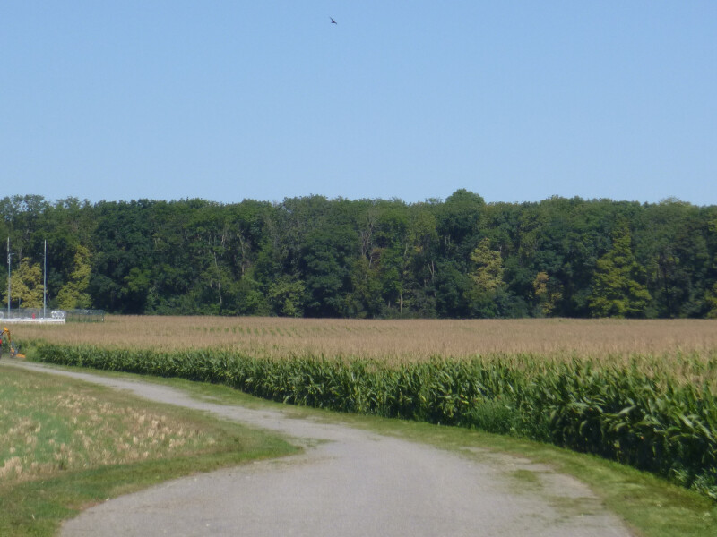Podíly na pozemcích v k.ú. Dolní Bojanovice, okr. Hodonín