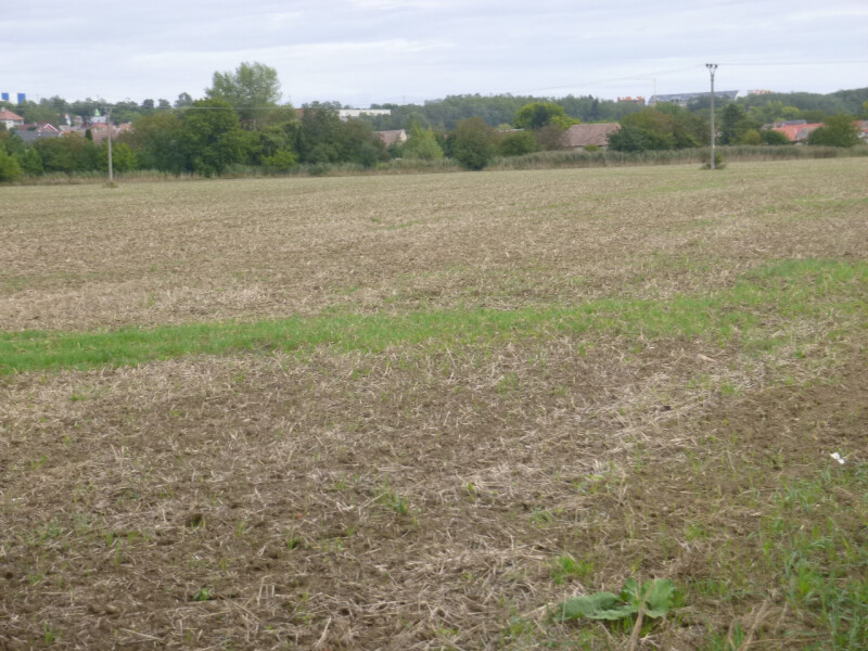 Podíl na zemědělském pozemku v k.ú. Tasovice nad Dyjí, okr. Znojmo