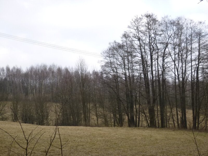 Podíl na pozemcích v k.ú. Žacléř, okr. Trutnov