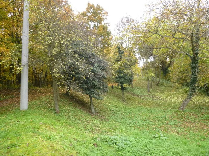 Podíl 1/4 na pozemcích v k.ú. Vinařice u Dobrovice, okres Mladá Boleslav