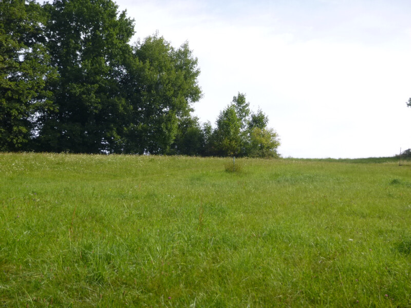 Podíl na pozemcích v k.ú. Kozlovice, okr. Frýdek-Místek