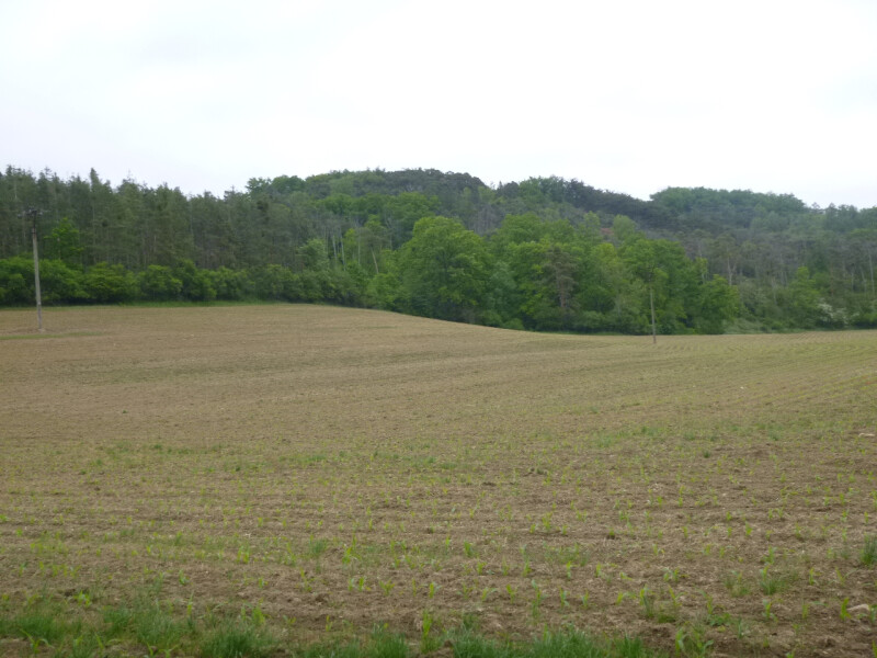 Podíl 1/64 na pozemcích v k.ú. Drahobuz, okr. Litoměřice