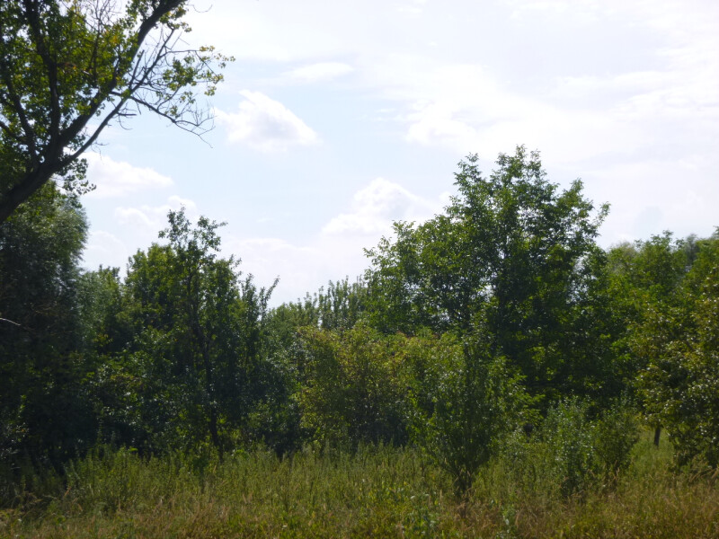 Podíl na pozemcích v k.ú. Zarazice, okr. Hodonín