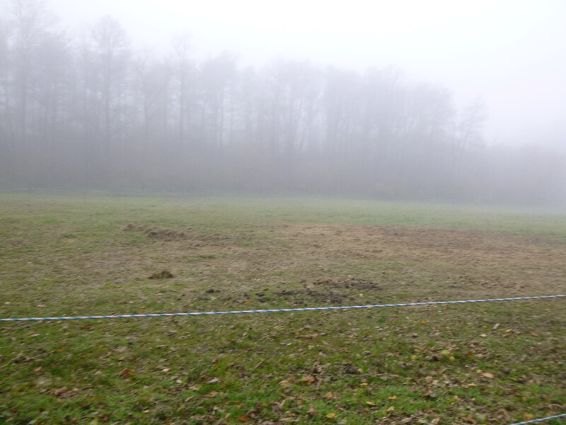 Podíl 1/6 na pozemcích v obci Zdounky, okres Kroměříž