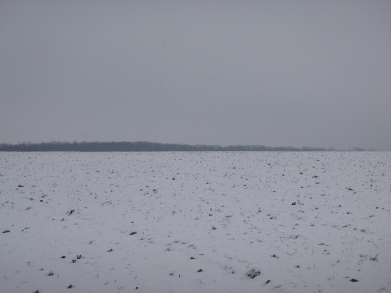 Podíl 1/6 na pozemku v k.ú. Ředhošťa Radešín u Martiněvsi, okr. Litoměřice