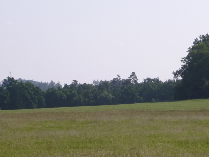 Podíl na pozemcích v k.ú. Lanžov, okr. Trutnov