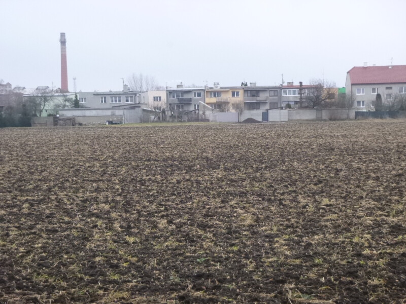 Pozemek v k.ú. Bedihošť, okr. Prostějov