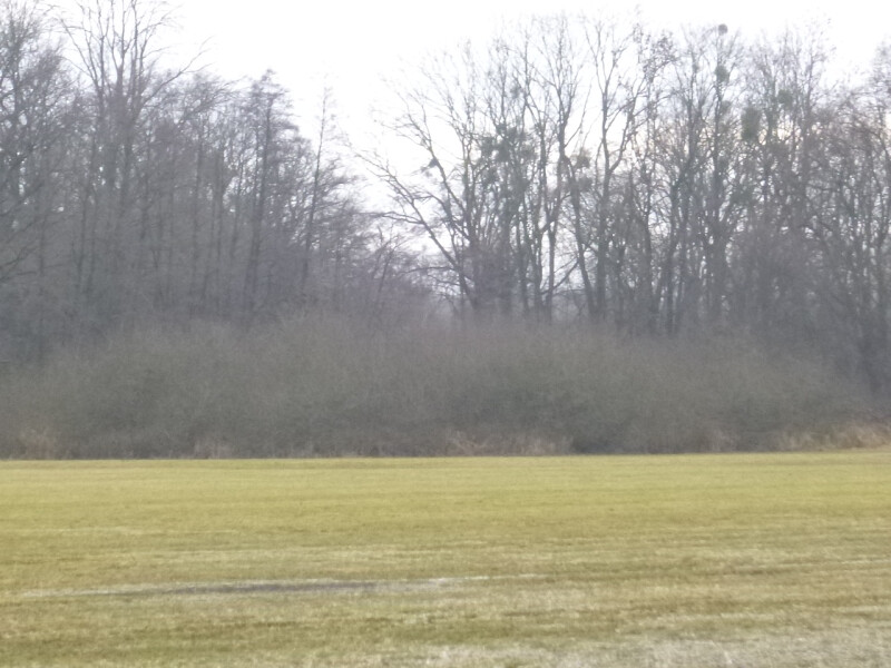 Podíl na pozemcích v k.ú. Studénka nad Odrou, okr. Nový Jičín