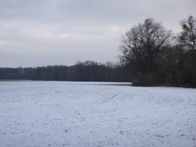 Podíl na zemědělském pozemku v k.ú. Kojetín, okr. Přerov