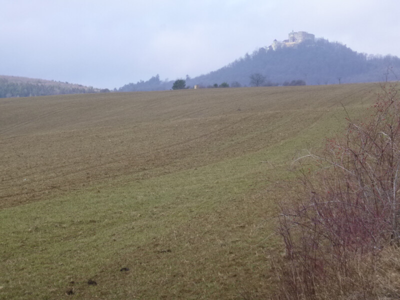 Podíl na zemědělských pozemcích v k.ú. Buchlovice a Tupesy na Moravě, okr. Uherské Hradiště