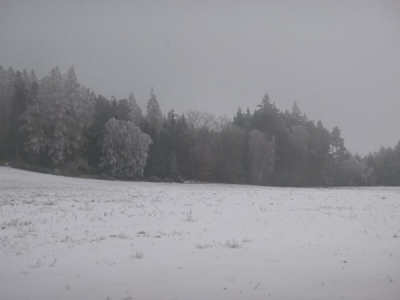 Podíl na zemědělském pozemku v k.ú. Mysletice, okr. Jihlava