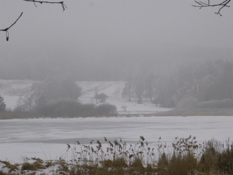 Podíl na pozemcích v k.ú. Olší u Telče, okr. Jihlava