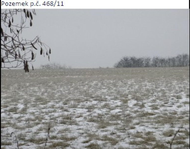 Pozemky v k.ú. Dobřínsko, okres Znojmo