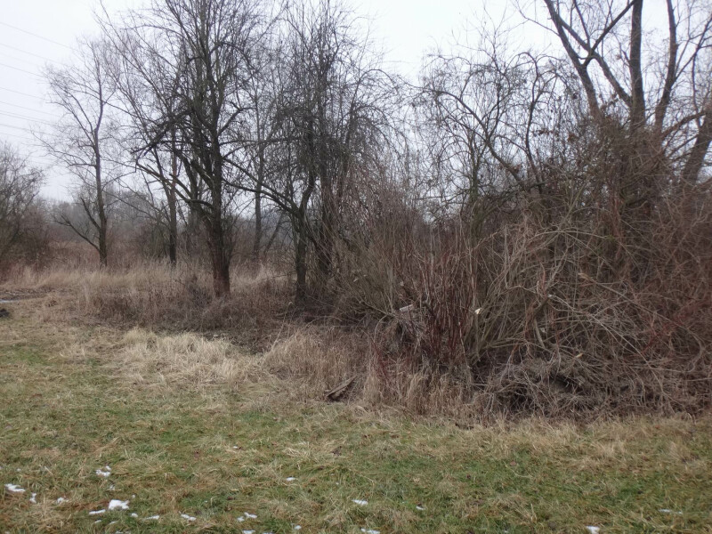 Podíl na zemědělských pozemcích v k.ú. Svinov, okr. Ostrava-město