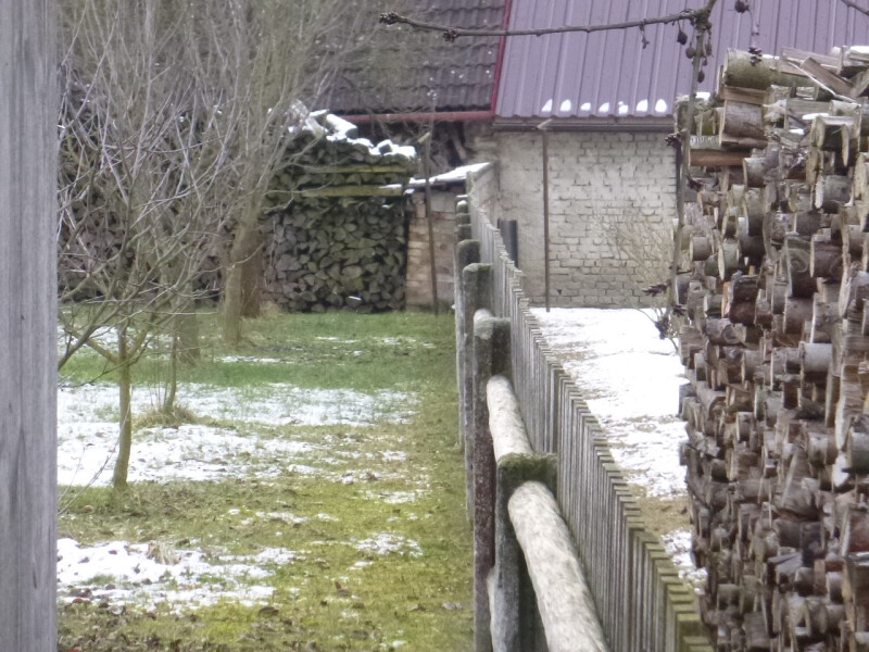 Podíl 1/2 na pozemku v k.ú. Velká Losenice, okr. Žďár nad Sázavou