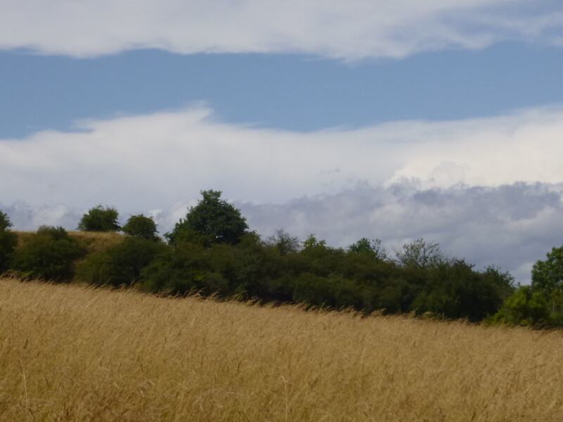 Pozemek v k.ú. Hořenec, okres Louny