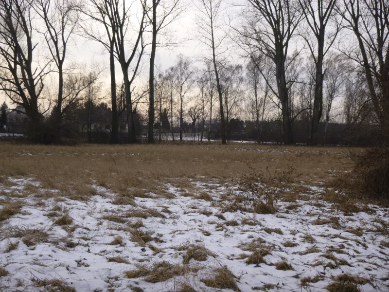 Pozemek v k.ú. Sány, okres Nymburk