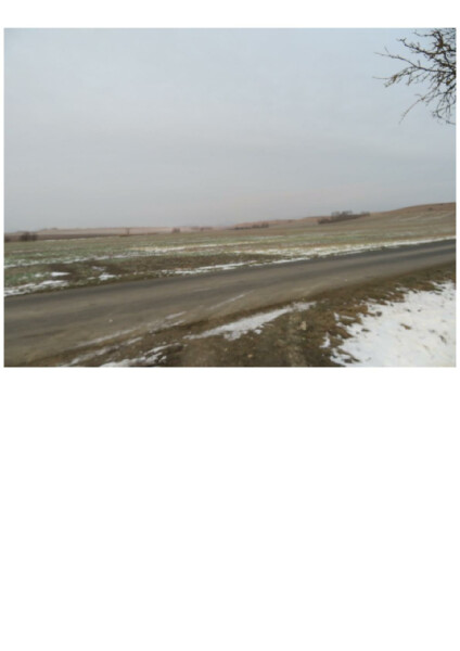 Podíl na pozemcích v k.ú. Koštice, okr. Louny a k.ú. Křesín, okr. Litoměřice