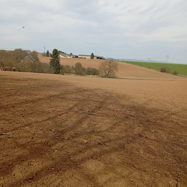 Podíl 2/18 na pozemcích v k.ú. Nelešovice, okr. Přerov