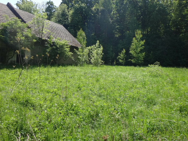 Podíl na pozemcích v k.ú. Janov u Krnova, okr. Bruntál