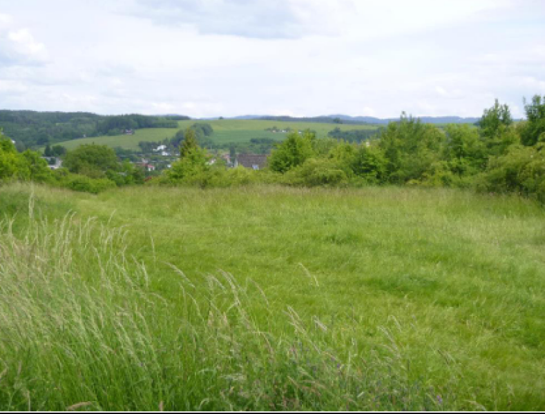 Pozemek v k.ú. Slušovice, okres Zlín