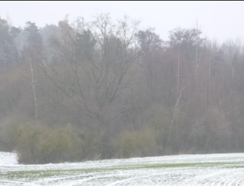 Podíl na pozemcích v k.ú. Zdeslavice u Chlístovic, okr. Kutná Hora