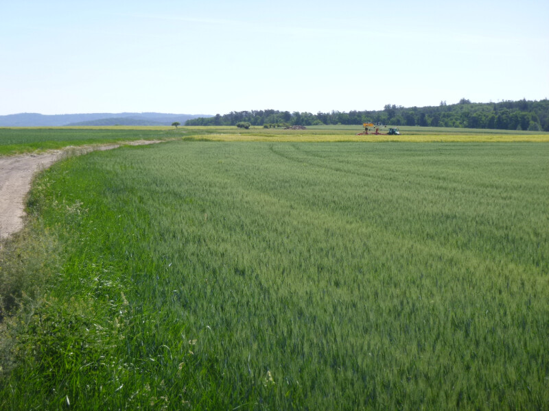 Podíly na pozemcích v k.ú. Kotenčice, okr. Příbram
