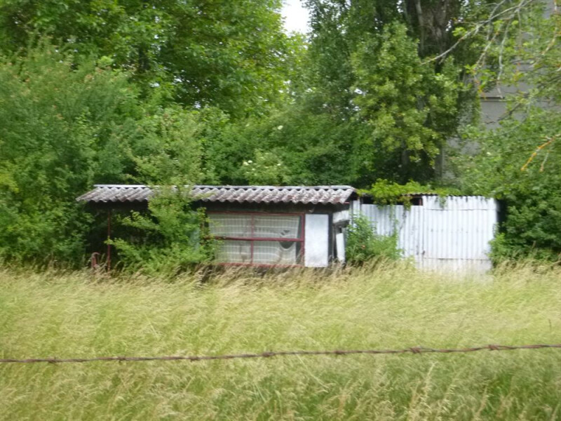 Zahrada v k.ú. Městec Králové, okr. Nymburk