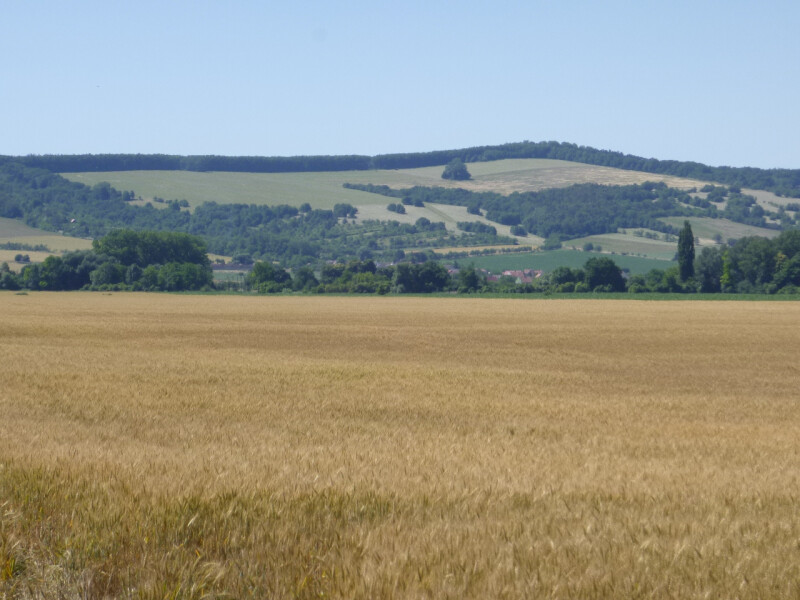 Podíl na pozemcích v k.ú. Hroznová Lhota